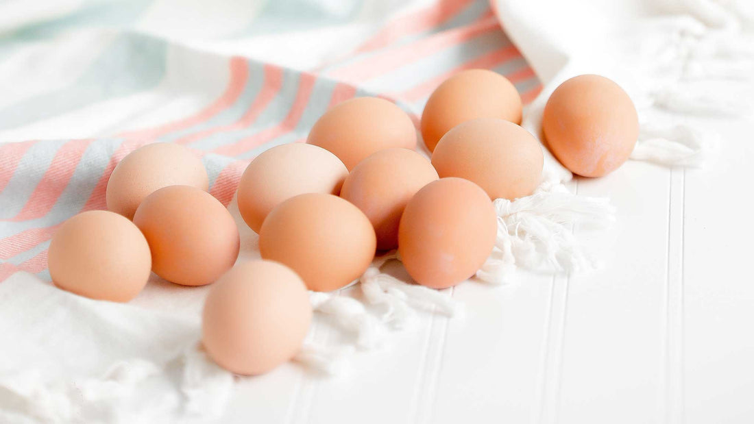 Can Cats and Dogs Eat Raw Eggs?