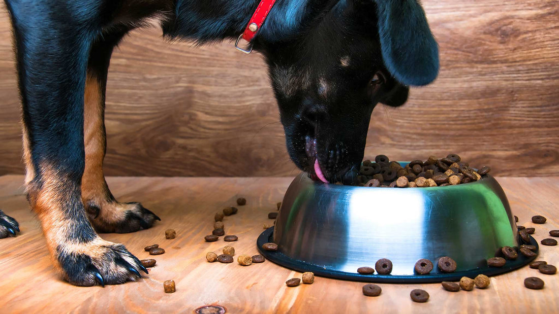What Is In Grain Free Dog Kibble?
