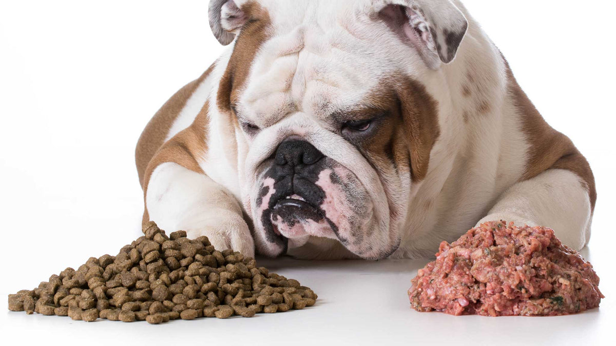 Can I My Pet Feed Kibble and Raw Food Together