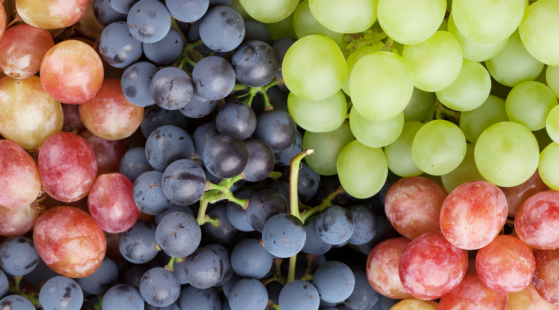 Can Dogs Eat Grapes?