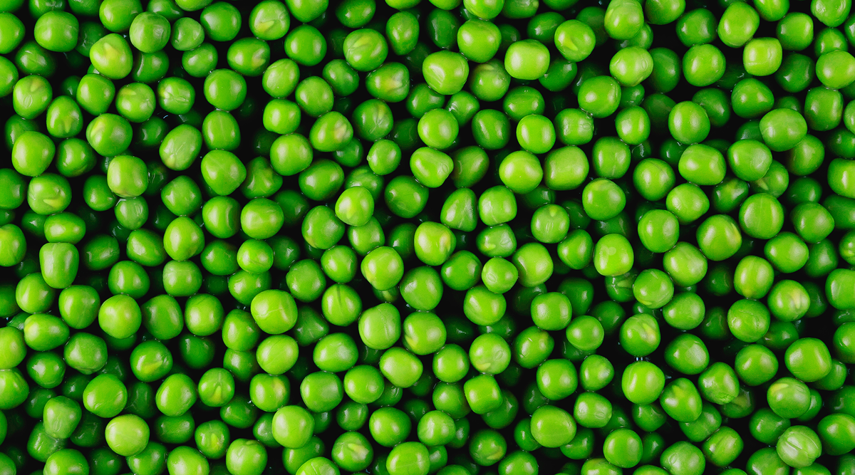 Green pea for store dogs