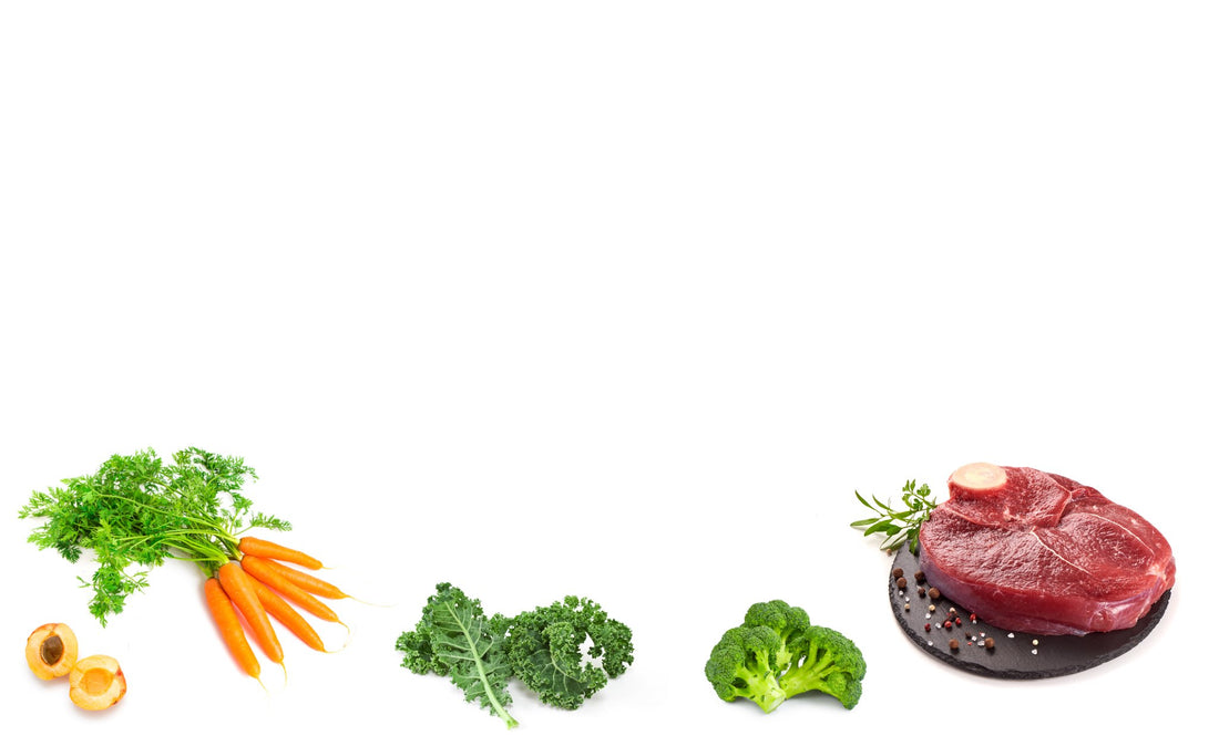 raw dog food ingredients