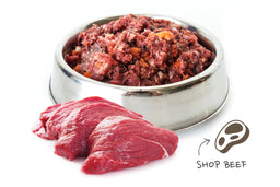 Shop Beef
