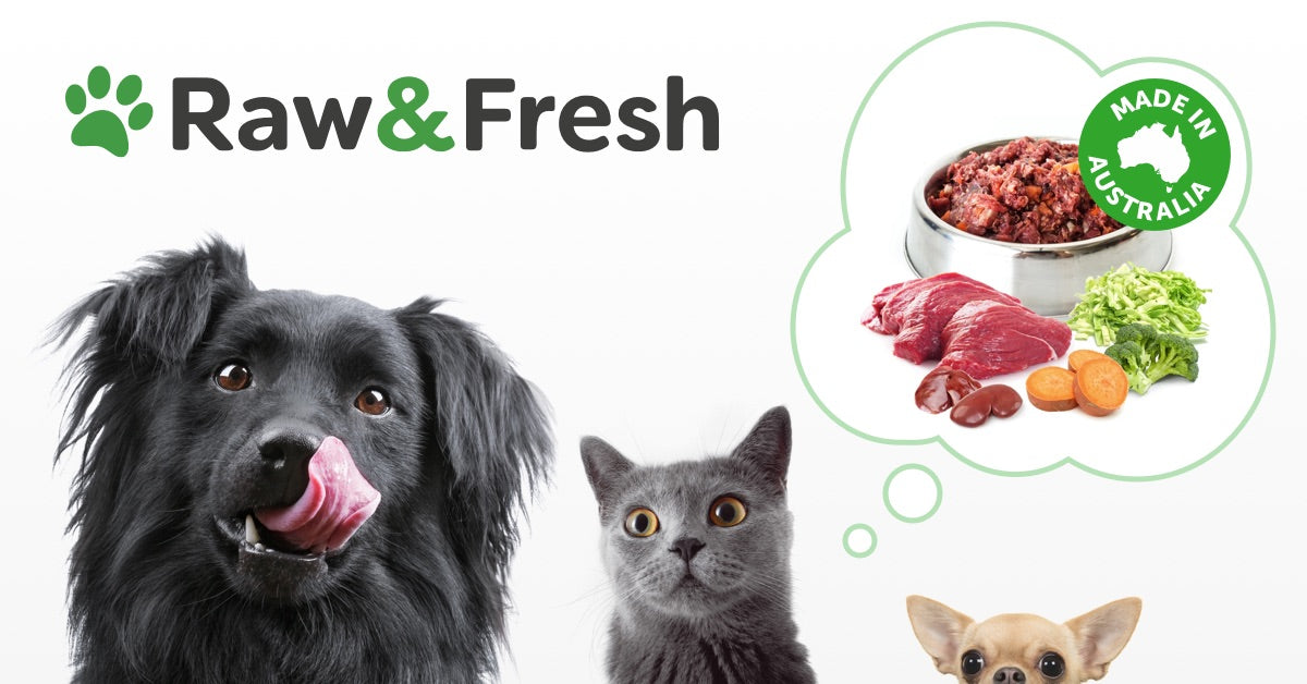 Raw Feeding Calculator Fresh Feeding Guide For Dogs Cats Raw Feeding Calculator Fresh Feeding Guide For Dogs Cats