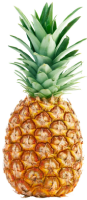 Bromelain (pineapple)