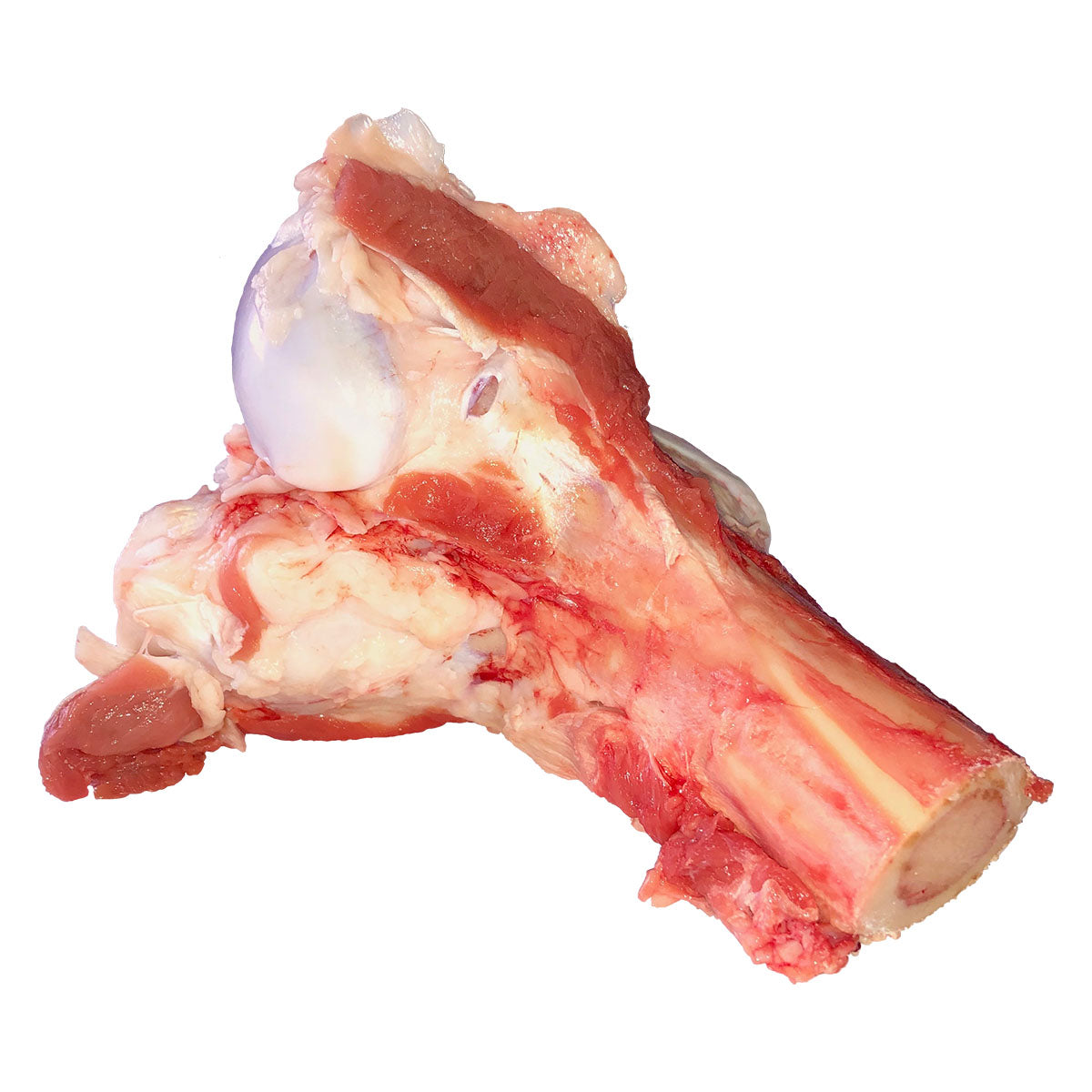 Raw Food Beef Marrow Bone For Dogs and Cats