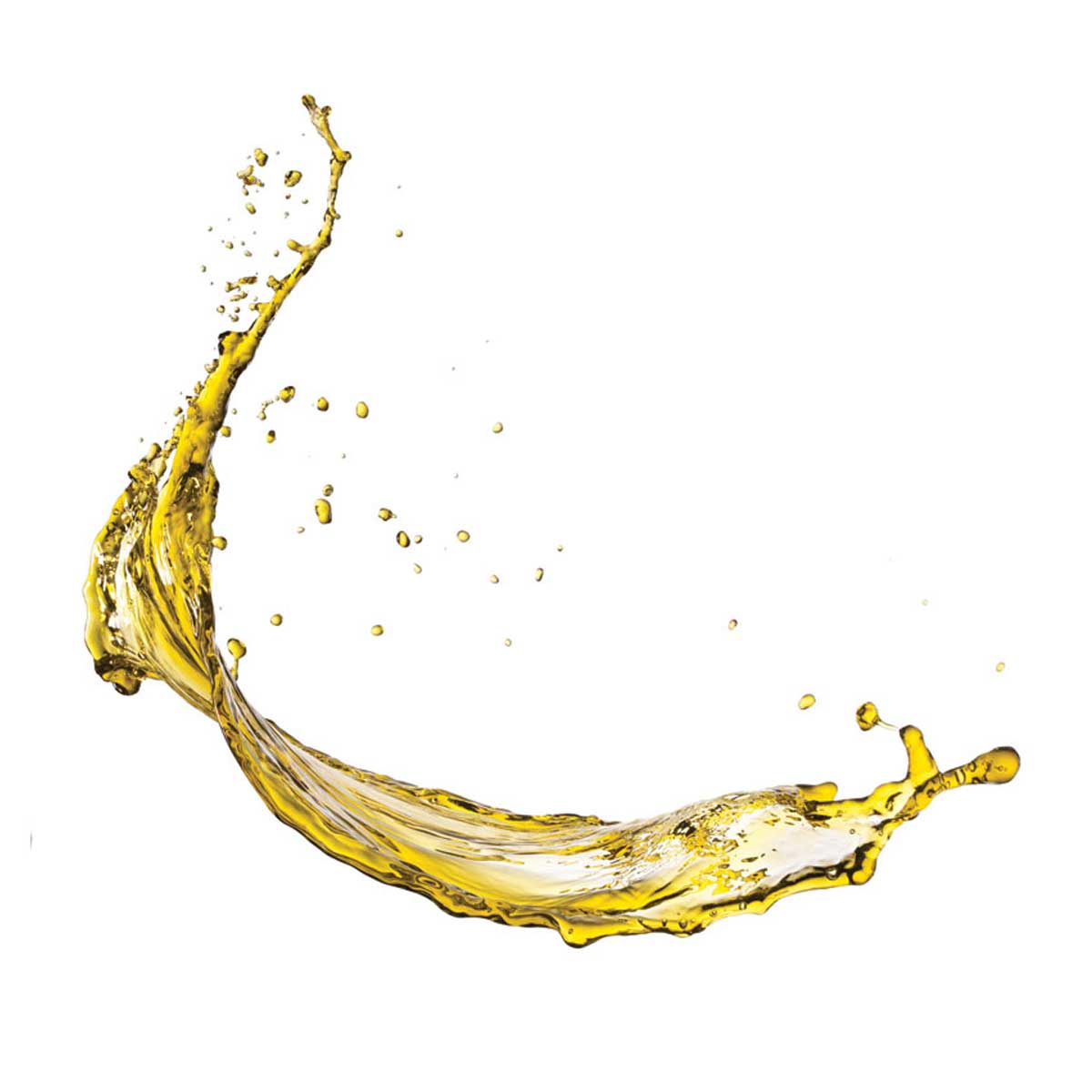 Omega 3, 6 & 9 Oil For Dogs | Raw & Fresh
