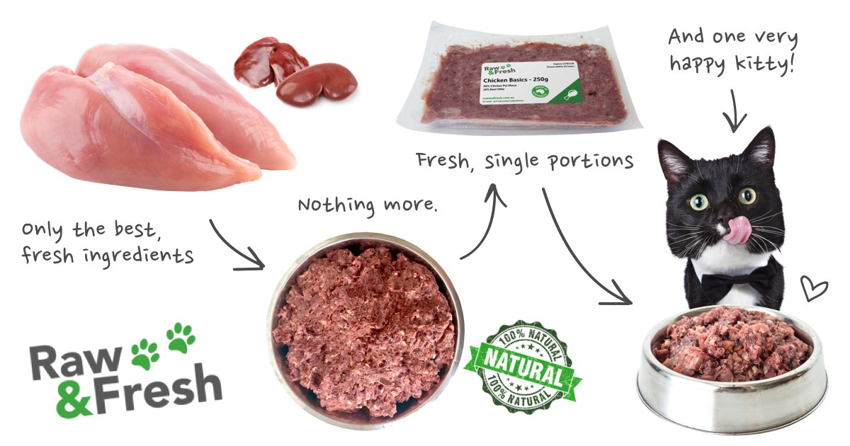 Harvest Chicken Bone Beef Broth For Cats Cat Soup Recipe Homemade