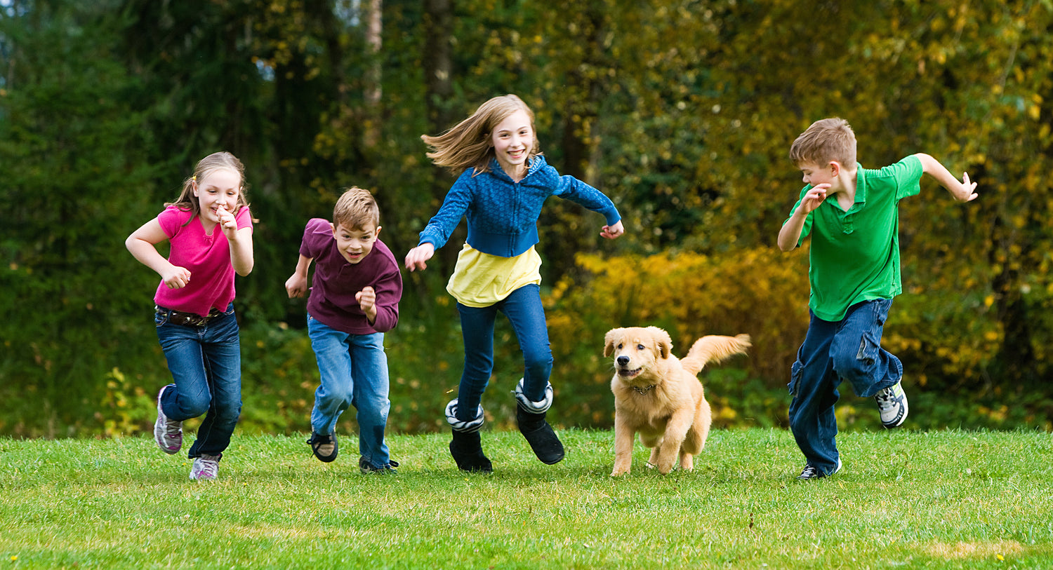 How To Keep Your Dog & Kids Safe When Playing Together