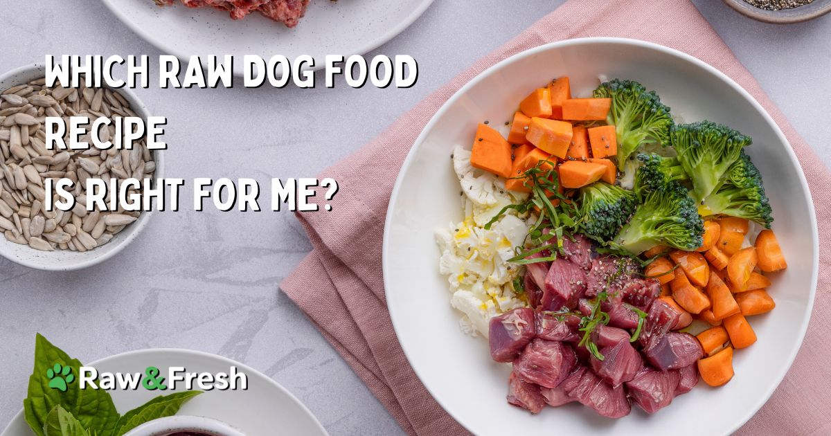 What Is The Best Dog Food For Optimal Health?