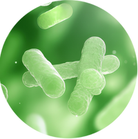 Naturally sourced probiotics