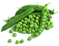 Organic Pea Fibre
