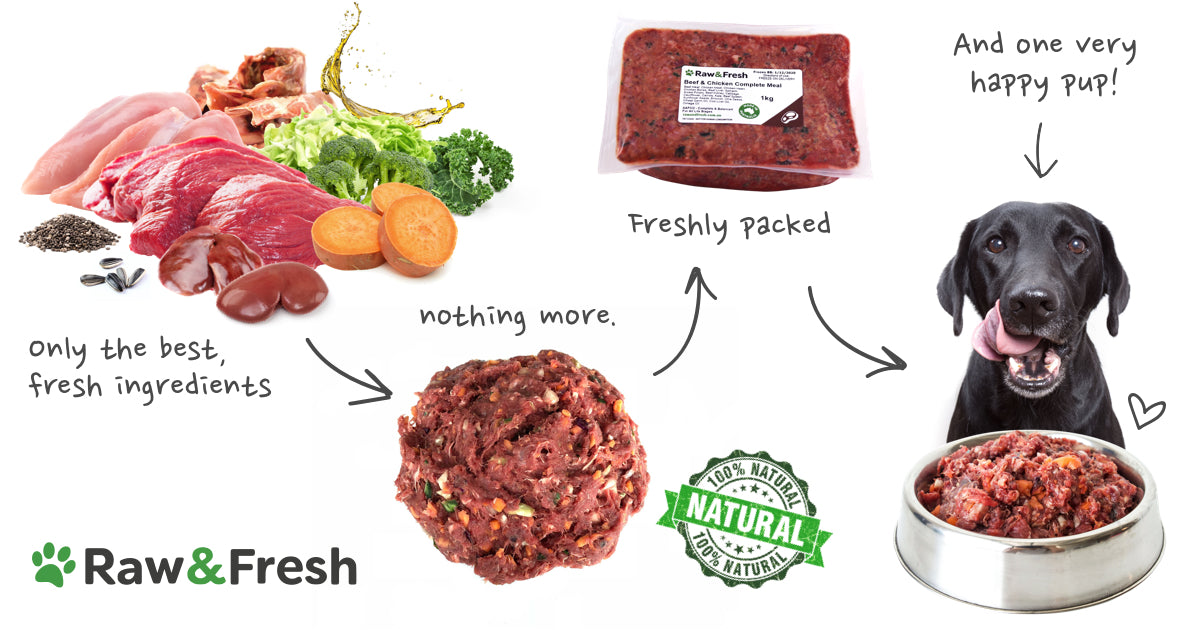 Food Recipes What Is The Best Raw Meat For Dogs Homemade Dog Food