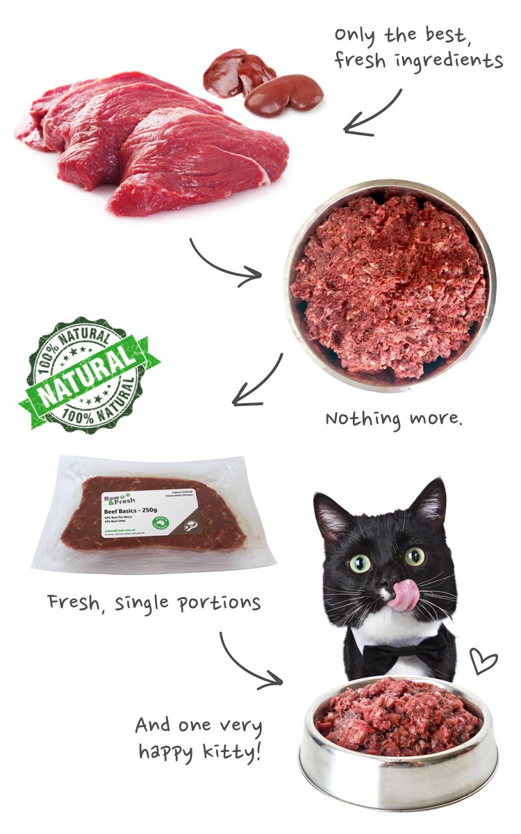 BARF Beef Cat Food - No Veg Basics Recipe