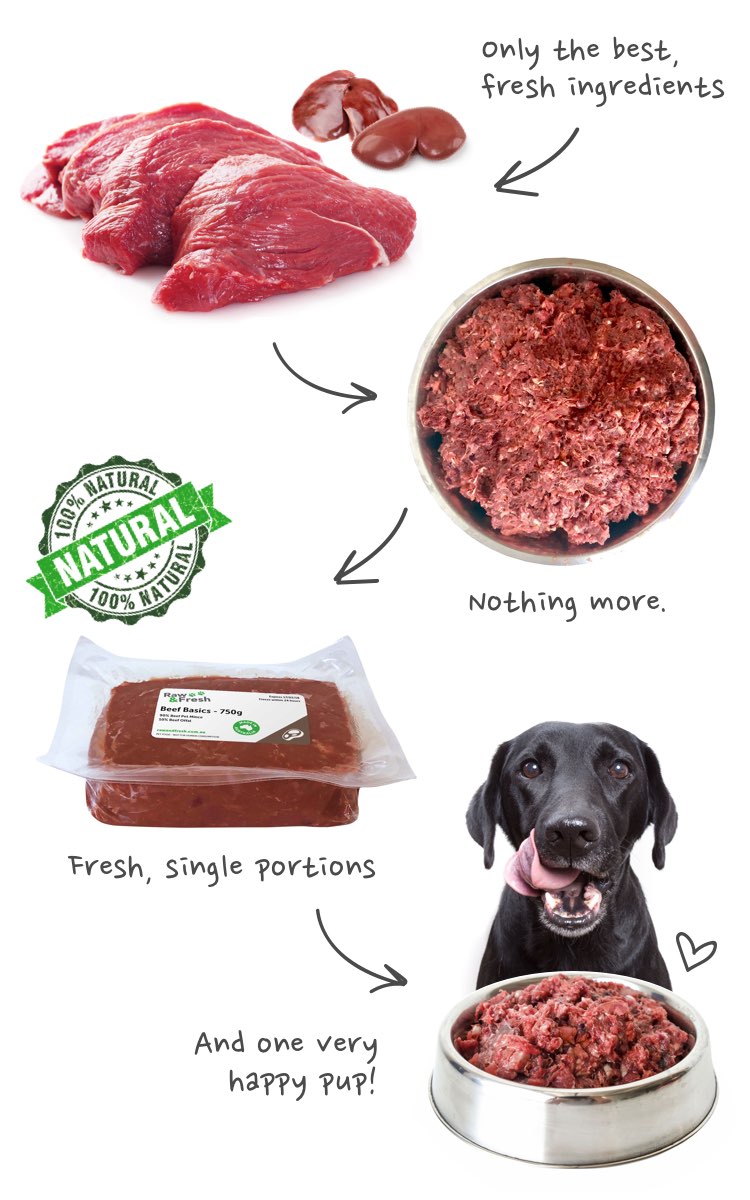 Beef Basics Raw Dog Food - 90% Raw Lean Mince/10% Offal